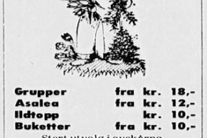 Bilde av Hagesenteret (tidl. Forsmanns Gartneri)